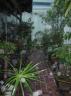 DSCN0010.JPG