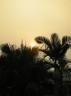 DSCN0154.JPG