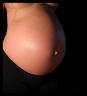 IMG_5481_crop_border_460x.jpg