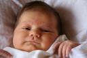 IMG_6241_x500.jpg