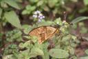 IMG_9793.jpg